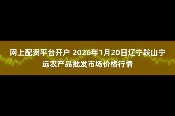 网上配资平台开户 2026年1月20日辽宁鞍山宁远农产品批发市场价格行情