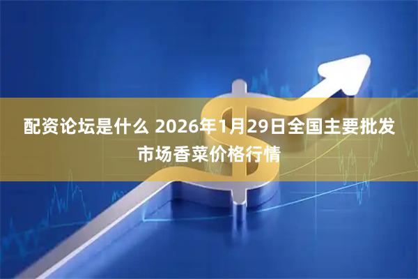 配资论坛是什么 2026年1月29日全国主要批发市场香菜价格行情