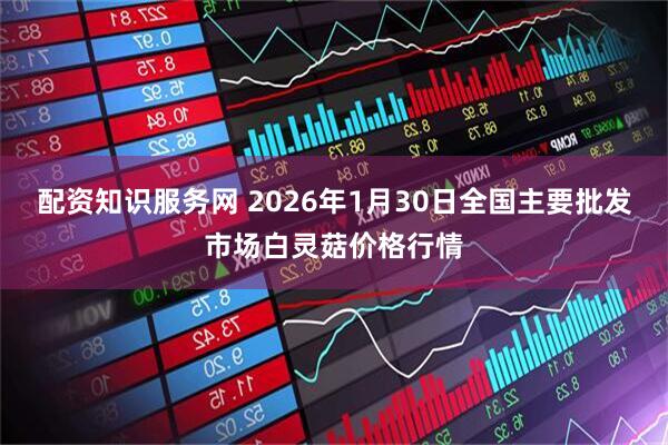 配资知识服务网 2026年1月30日全国主要批发市场白灵菇价格行情