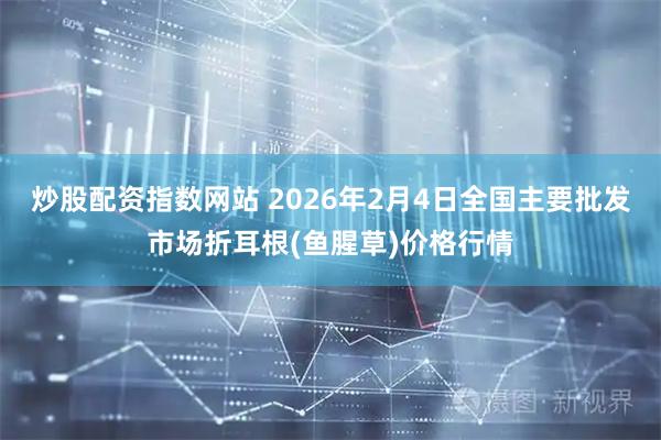 炒股配资指数网站 2026年2月4日全国主要批发市场折耳根(鱼腥草)价格行情